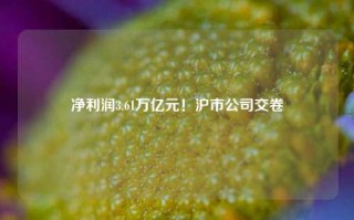 净利润3.61万亿元！沪市公司交卷