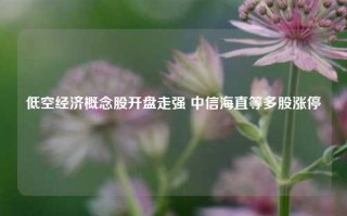 低空经济概念股开盘走强 中信海直等多股涨停