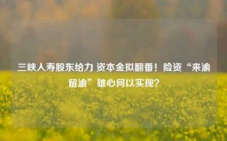 三峡人寿股东给力 资本金拟翻番！险资“来渝留渝”雄心何以实现？