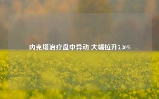 内克塔治疗盘中异动 大幅拉升5.30%