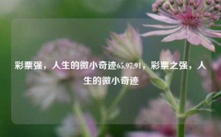 彩票强，人生的微小奇迹65.97.91，彩票之强，人生的微小奇迹，彩票之强，人生的微小奇迹