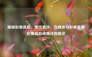 揭秘彩票真相，理性看待，合理参与彩票真相彩票真相被揭开陈都灵