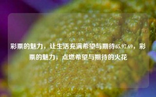 彩票的魅力，让生活充满希望与期待65.97.69，彩票的魅力，点燃希望与期待的火花，彩票的魅力，点燃希望与期待的火花