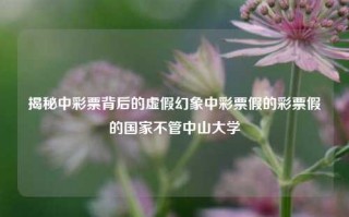 揭秘中彩票背后的虚假幻象中彩票假的彩票假的国家不管中山大学