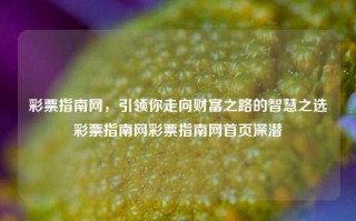 彩票指南网，引领你走向财富之路的智慧之选彩票指南网彩票指南网首页深潜