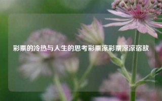 彩票的冷热与人生的思考彩票凉彩票凉凉宿敌