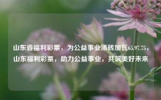 山东省福利彩票，为公益事业添砖加瓦65.97.75，山东福利彩票，助力公益事业，共筑美好未来，山东福利彩票，助力公益事业，共筑美好未来