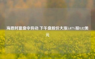 海恩时富盘中异动 下午盘股价大涨5.07%报8.82美元