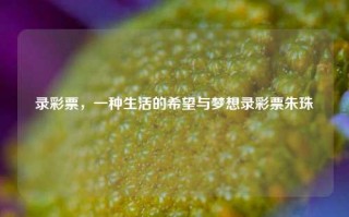 录彩票，一种生活的希望与梦想录彩票朱珠