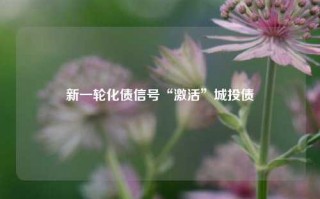 新一轮化债信号“激活”城投债