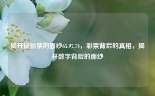 揭开搞彩票的面纱65.97.74，彩票背后的真相，揭开数字背后的面纱，彩票背后的真相，揭开数字与概率的面纱