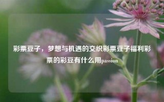 彩票豆子，梦想与机遇的交织彩票豆子福利彩票的彩豆有什么用passion