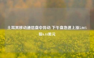 土耳其移动通信盘中异动 下午盘急速上涨5.06%报6.44美元