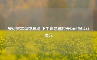 安可资本盘中异动 下午盘急速拉升5.06%报47.64美元