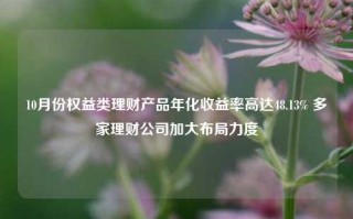 10月份权益类理财产品年化收益率高达48.13% 多家理财公司加大布局力度