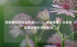 丢彩票后的命运转变65.97.74，命运转变，从丢弃彩票到新生活的起点，命运转变的奇迹，从丢弃彩票到新生活的起点