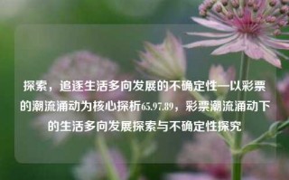 探索，追逐生活多向发展的不确定性—以彩票的潮流涌动为核心探析65.97.89，彩票潮流涌动下的生活多向发展探索与不确定性探究，彩票潮流涌动下的生活多向发展与不确定性探索