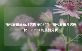 福利彩票最新开奖揭秘65.97.70，福利彩票开奖揭秘，65.97.70 的最新分析，65.97.70（福利彩票）开奖揭秘及最新分析