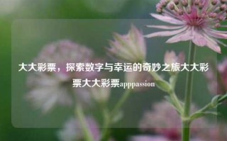 大大彩票，探索数字与幸运的奇妙之旅大大彩票大大彩票apppassion