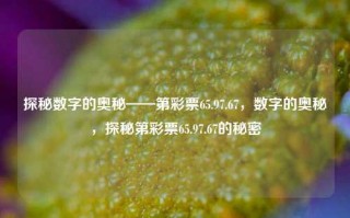 探秘数字的奥秘——第彩票65.97.67，数字的奥秘，探秘第彩票65.97.67的秘密，探秘第彩票65.97.67，一解数字背后隐藏的秘密