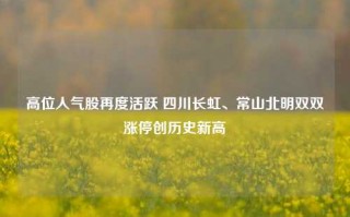 高位人气股再度活跃 四川长虹、常山北明双双涨停创历史新高