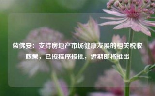 蓝佛安：支持房地产市场健康发展的相关税收政策，已按程序报批，近期即将推出