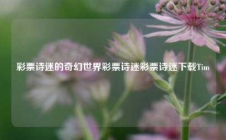 彩票诗迷的奇幻世界彩票诗迷彩票诗迷下载Tim