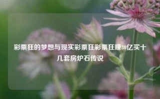 彩票狂的梦想与现实彩票狂彩票狂赚80亿买十几套房炉石传说