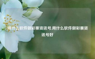 用什么软件做彩票资讯号,用什么软件做彩票资讯号好