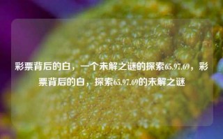 彩票背后的白，一个未解之谜的探索65.97.69，彩票背后的白，探索65.97.69的未解之谜，彩票背后的神秘白，探索65.97.69的未解之谜