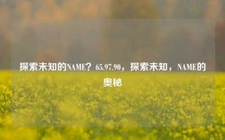 探索未知的NAME？65.97.90，探索未知，NAME的奥秘，探索未知的神秘之域，NAME 65.97.90 揭秘之旅