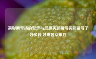 买彩票亏损的警示与反思买彩票亏买彩票亏了好多钱,好痛苦京东方