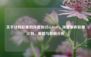 关于计划彩票的深度探讨65.97.81，深度解析彩票计划，策略与影响分析，深度解析彩票计划，策略与影响分析 65.97.81的探索