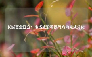 长城基金汪立：市场或沿着景气方向完成分化