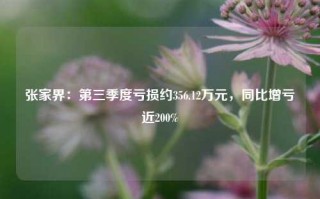 张家界：第三季度亏损约356.12万元，同比增亏近200%