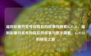 福利彩票开奖号码背后的故事与探索65.97.81，福利彩票开奖号码背后的故事与数字探索，65.97.81的秘密之旅，福利彩票开奖号码背后的故事与数字65.97.81的秘密之旅