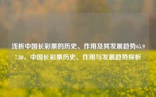 浅析中国长彩票的历史、作用及其发展趋势65.97.80，中国长彩票历史、作用与发展趋势探析，中国长彩票历史、作用与发展趋势探析