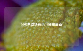 3d彩票剧场资讯,3d彩票最新