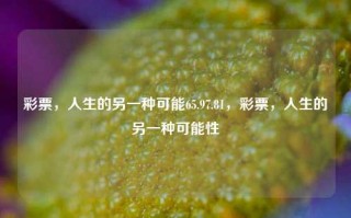 彩票，人生的另一种可能65.97.81，彩票，人生的另一种可能性，彩票，人生的另一种可能性65.97.81