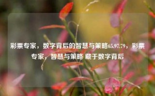 彩票专家，数字背后的智慧与策略65.97.79，彩票专家，智慧与策略 藏于数字背后，彩票专家，数字背后的智慧与策略