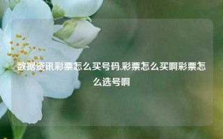 数据资讯彩票怎么买号码,彩票怎么买啊彩票怎么选号啊