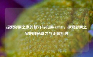 探索彩票之家的魅力与机遇65.97.84，探索彩票之家的神秘魅力与无限机遇，探索彩票之家的神秘魅力与无限机遇 65.97.84