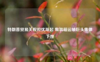 特朗普贸易关税担忧渐起 集装箱运输巨头集体下挫