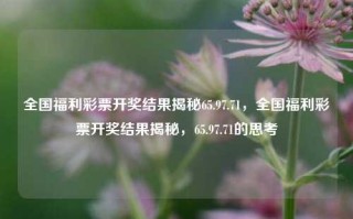 全国福利彩票开奖结果揭秘65.97.71，全国福利彩票开奖结果揭秘，65.97.71的思考，全国福利彩票开奖结果65.97.71之奥秘解读，透视大奖思考逻辑