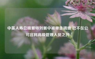 中英人寿总精算师刘展中被带走调查 已不在公司官网高级管理人员之列