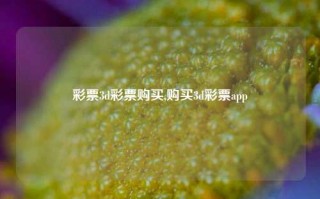 彩票3d彩票购买,购买3d彩票app