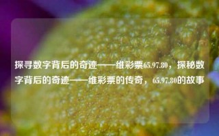 探寻数字背后的奇迹——维彩票65.97.80，探秘数字背后的奇迹——维彩票的传奇，65.97.80的故事，揭秘维彩票奇迹数序 65.97.80 —— 如何抵达最终的演绎并暗示如斗演义。