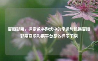 百顺彩票，探索数字游戏中的幸运与机遇百顺彩票百顺彩票平台怎么样李子柒