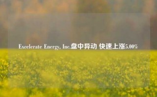 Excelerate Energy, Inc.盘中异动 快速上涨5.00%