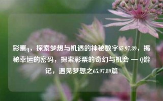 彩票q，探索梦想与机遇的神秘数字65.97.89，揭秘幸运的密码，探索彩票的奇幻与机会 — Q游记，遇见梦想之65.97.89篇，65.97.89—彩梦中触手可及的机遇探索录